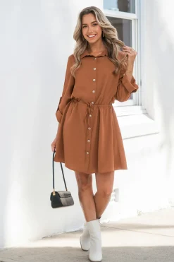 Braunes langärmeliges Minikleid mit Kragen